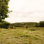 White Thorn House Vakantiehuis Clifden