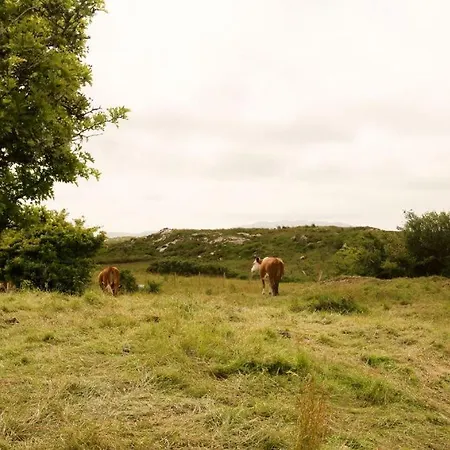 White Thorn House Feriehus Clifden