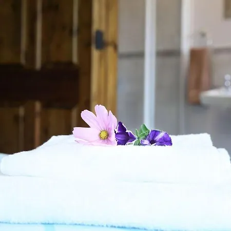 White Thorn House Ballinaboy