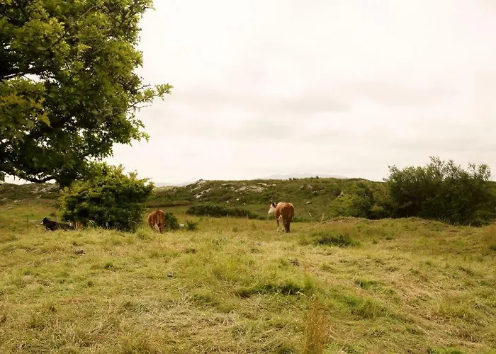 White Thorn House Vakantiehuis Clifden