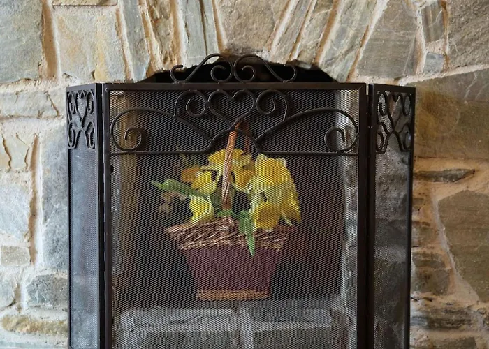 Vakantiehuis White Thorn House *